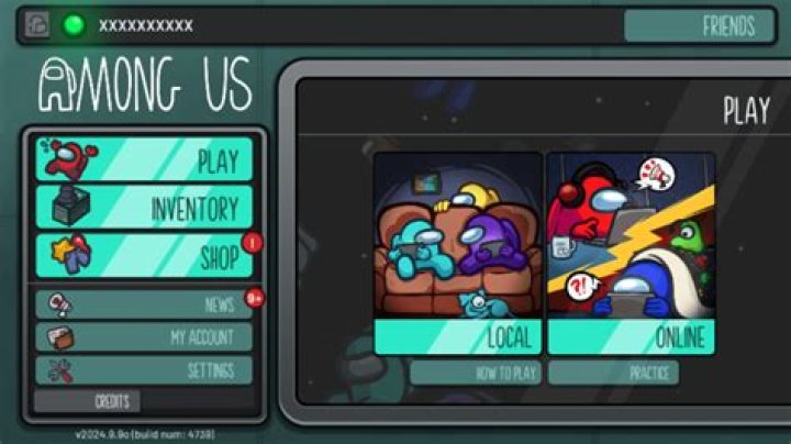 Can Among Us be played offline?