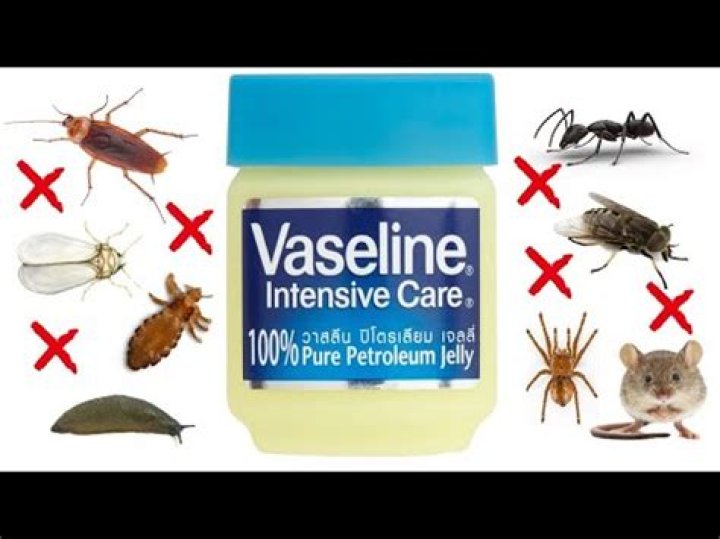 Can ants walk on petroleum jelly?