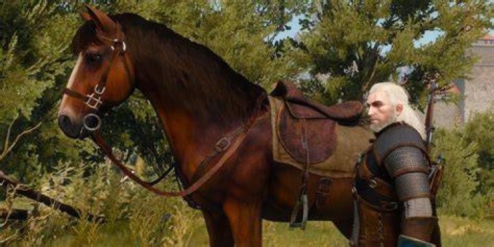 Can Geralt understand roach?