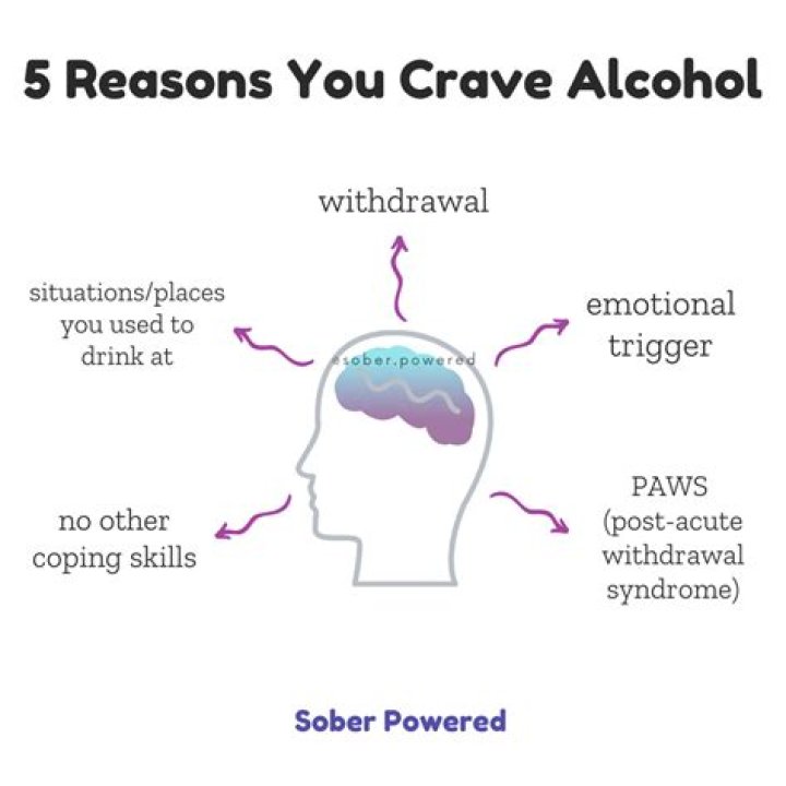 Can hormones make you crave alcohol?