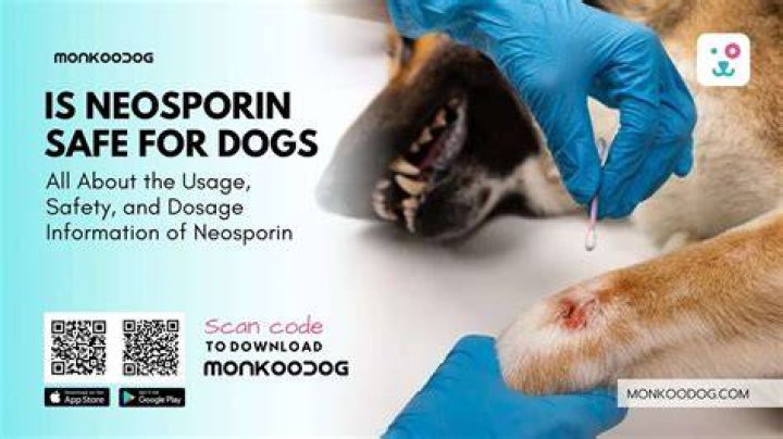 Can I put Neosporin on my dog?