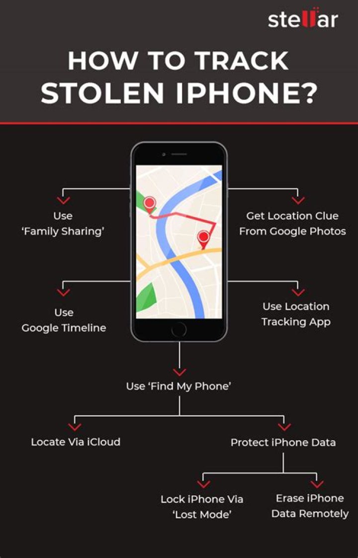Can I track my Tesla if stolen?