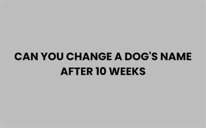 Can you change a dog's name?