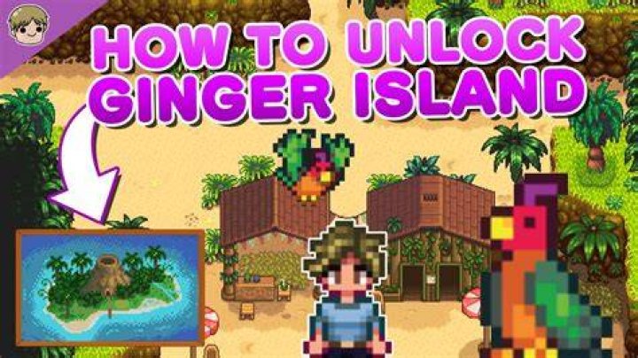 Can you put a chest on Ginger Island?