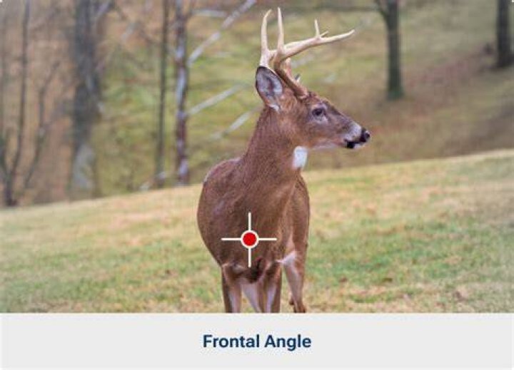 Can you shoot a deer on your property in Florida?