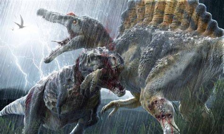 Did the Spinosaurus and T Rex fight each other?