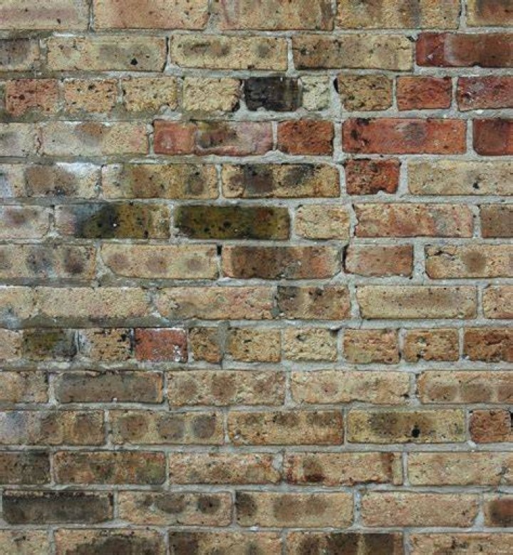Do bricks get darker with age?