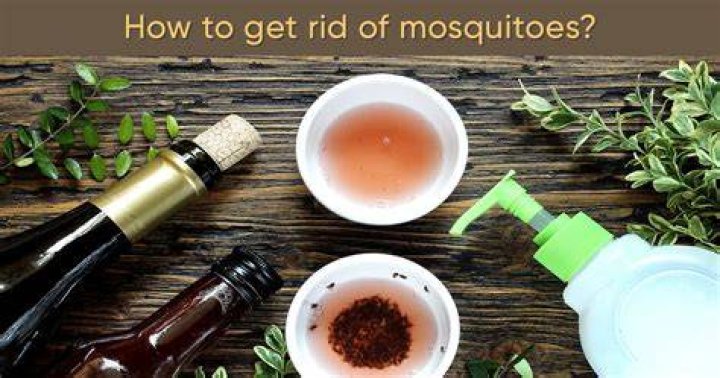 How do I get rid of mosquitoes in my yard naturally?