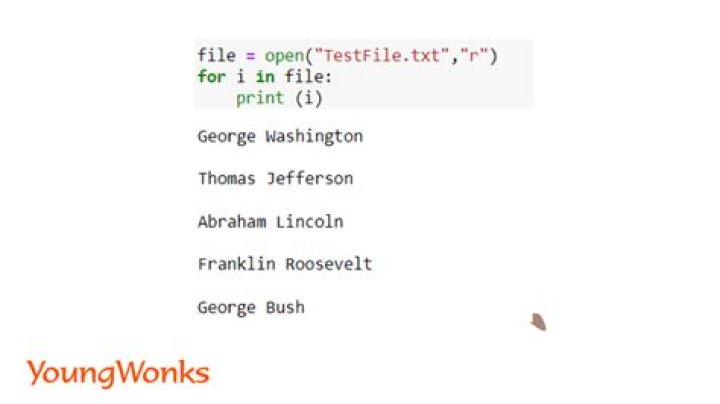 How do you run a text file in Python?