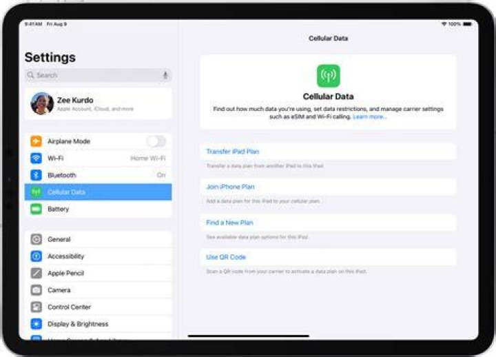 How much is cellular data on iPad?