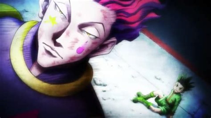 Is Hisoka and Ging related?