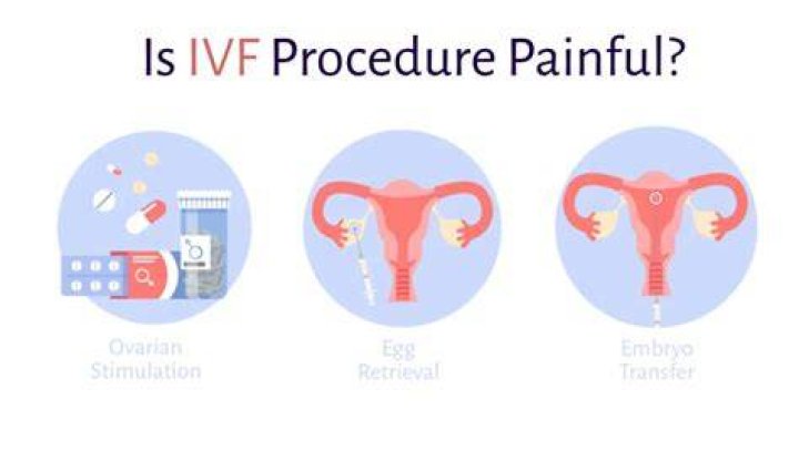 Is IVF procedure painful?