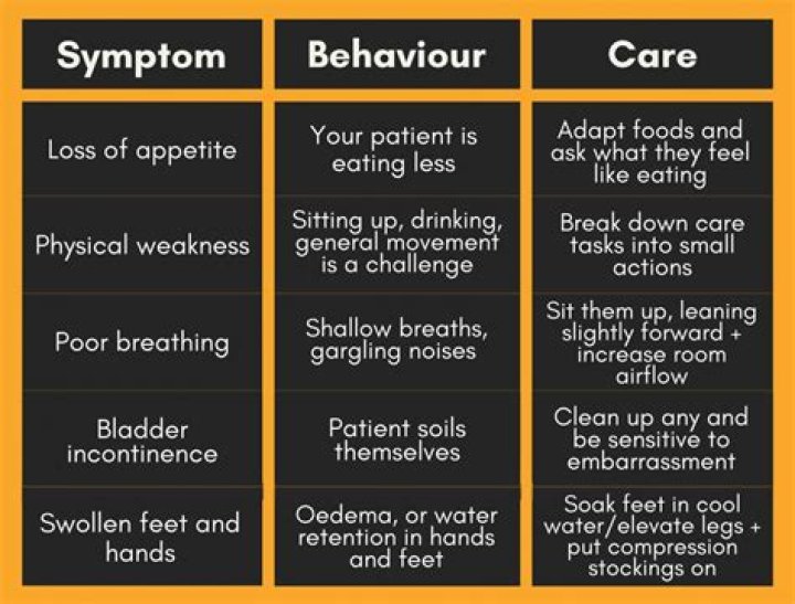 What are end of life symptoms?