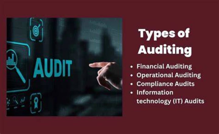 What are the types of auditing?