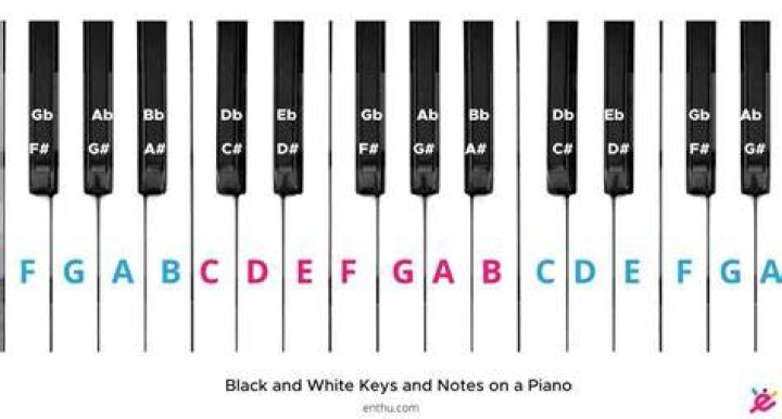 What is the difference between white and black keys on a piano?