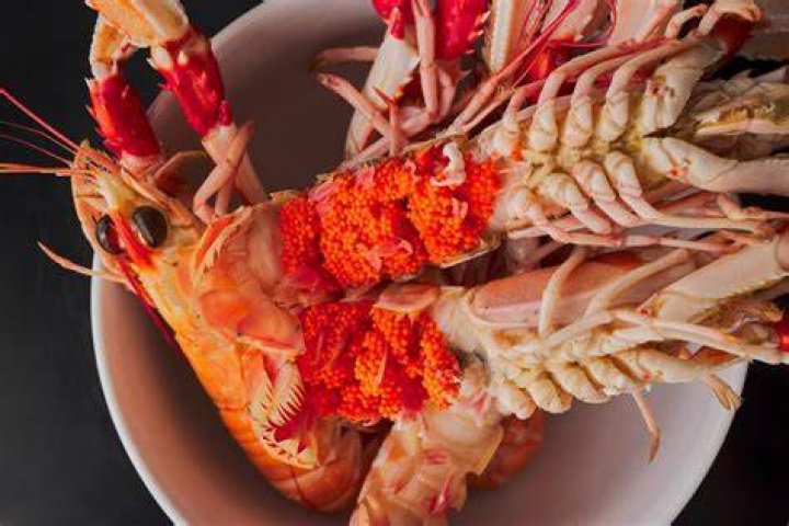 What is the red stuff inside lobster?
