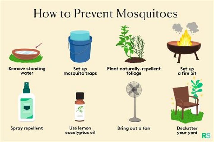What to put in standing water to prevent mosquitoes?