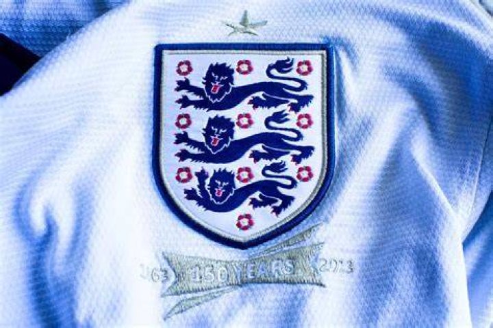 Why are there 10 roses on the British badge?