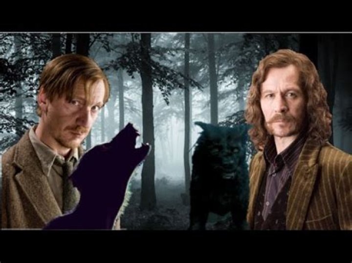 Why did Lupin not tell Harry about Sirius?