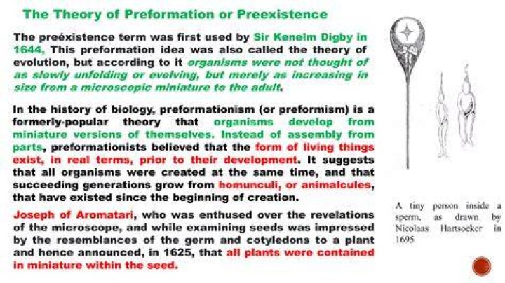 Why do most scientists abandon the theory of preformation?